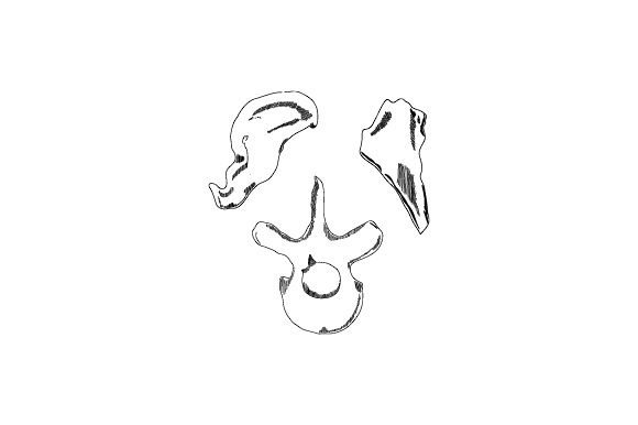 Artifacts - Bones, Sketch: Crafts for School Amp